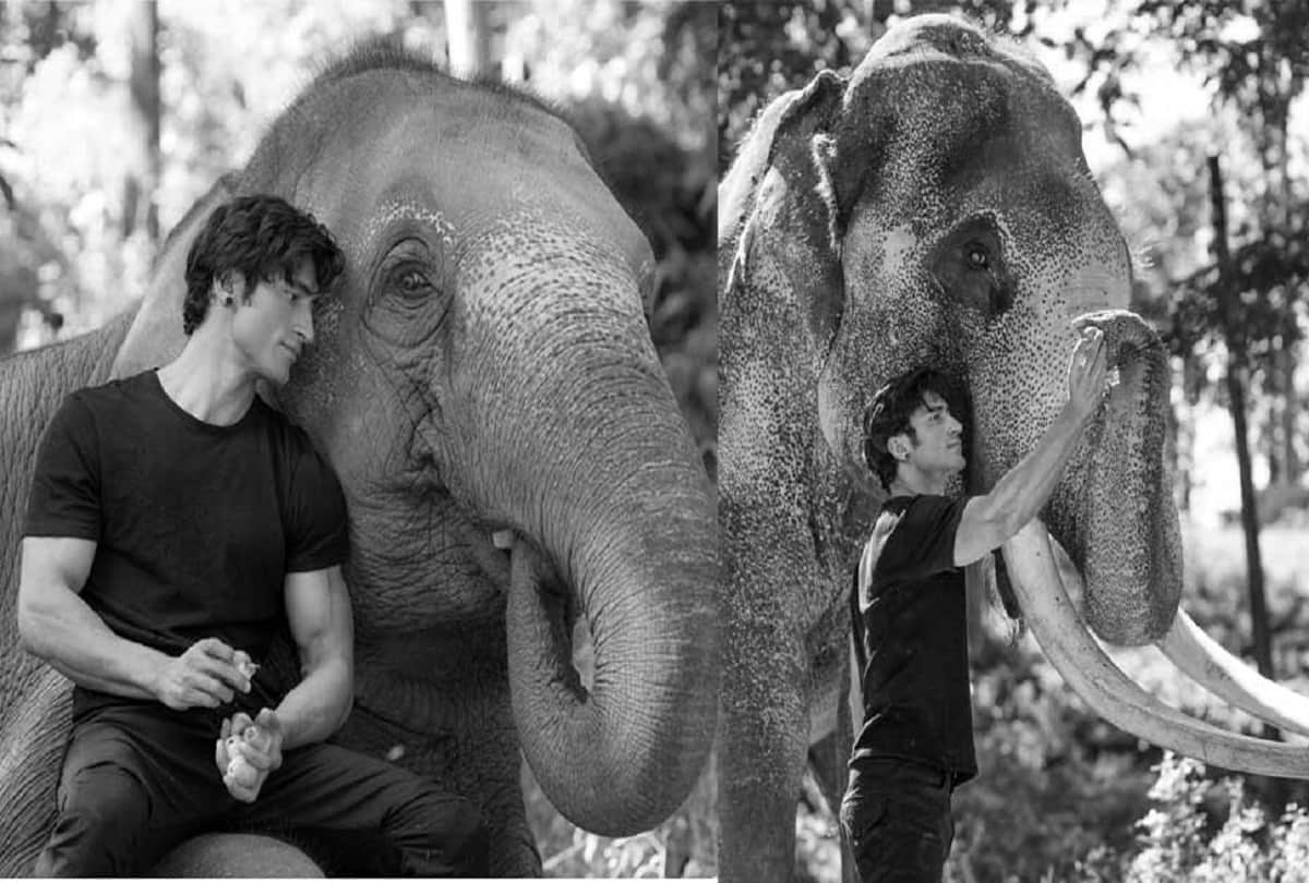vidyut jammwal in list of Top Martial Artists in the world