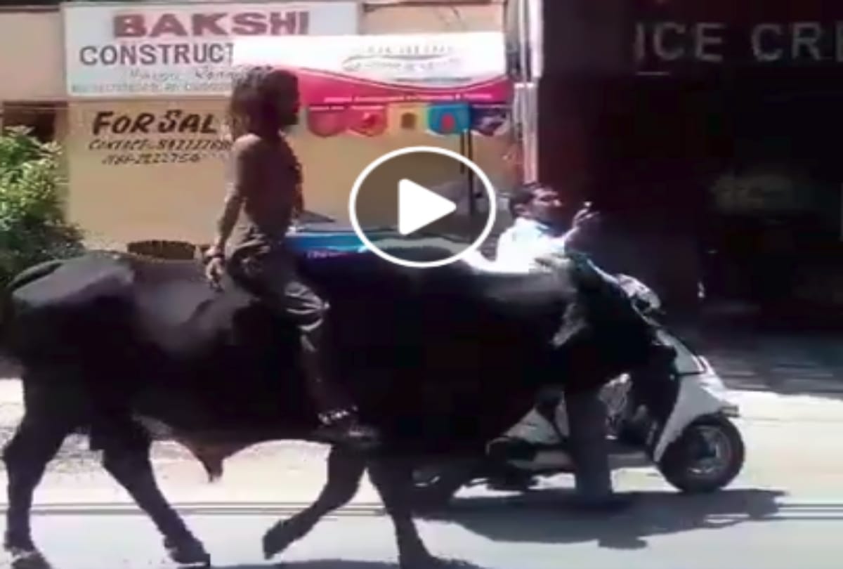 Yamraj Funny video will make you laugh 