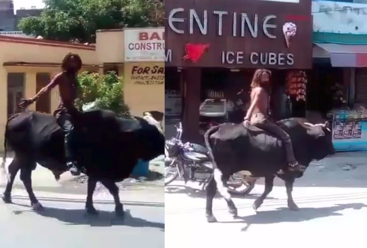 Yamraj Funny video will make you laugh 
