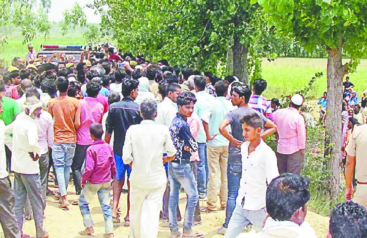 Three teenagers, including two brothers, were found in the gut of a curt