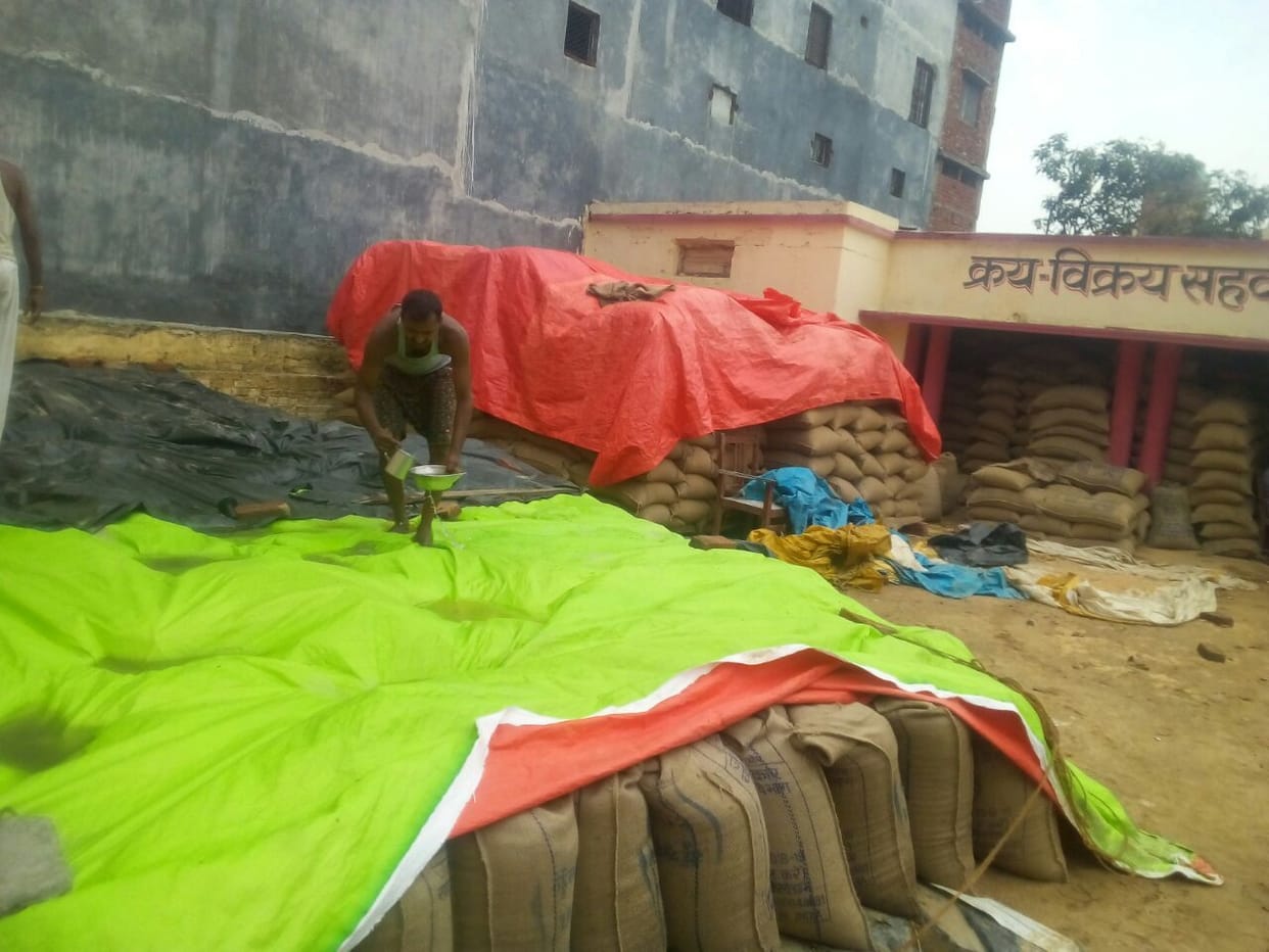 अचानक हुई बरसात से क्रय केन्द्र का गेंहू भींगा