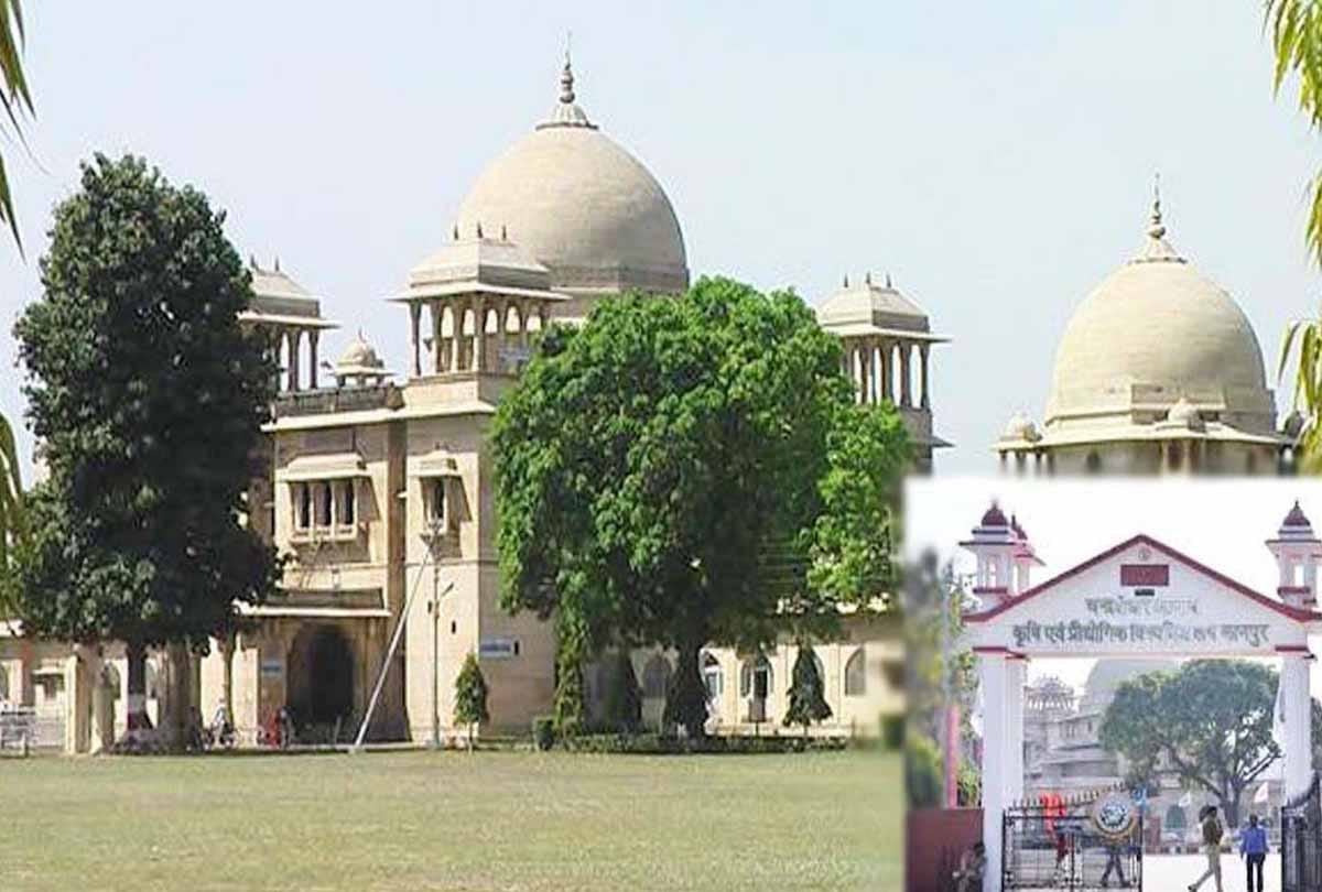 UP CATET Result Declared      