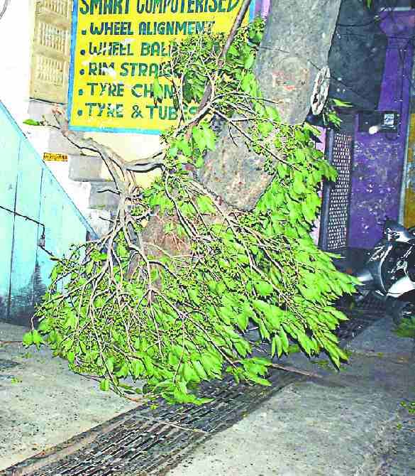 Storms and rain caused by electricity, power supply stalled