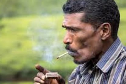 88 percent smoking beedis in Himachal Pradesh