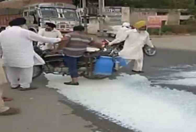 Punjab Farmers spill milk and vegetables on the road during 10 days 'Kisan Avkash' protest