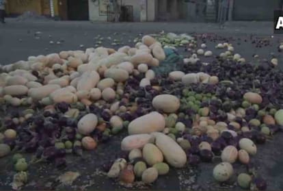 Punjab Farmers spill milk and vegetables on the road during 10 days 'Kisan Avkash' protest
