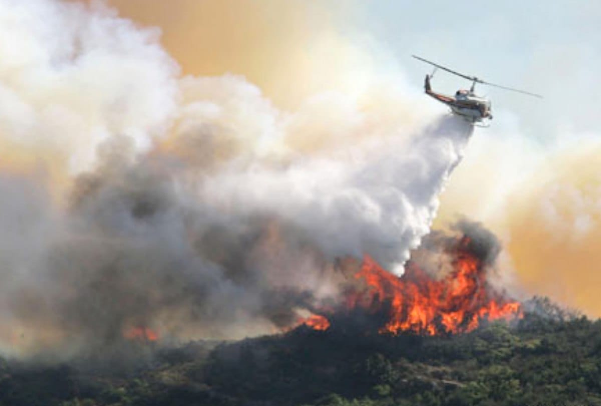 Himachal govt deployed choppers to douse fire in forests