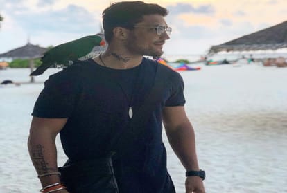 bigg boss contestants whose career got destroyed after show