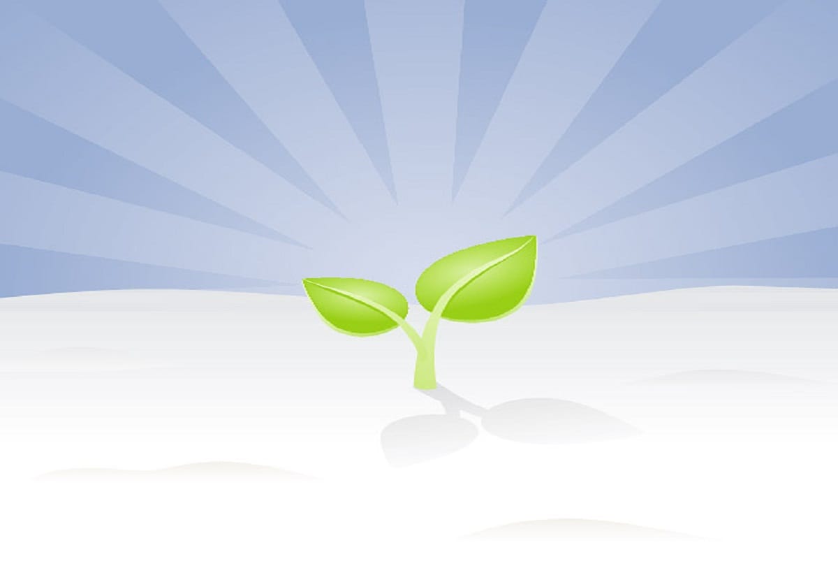 Our every action is like a seed for our tomorrow