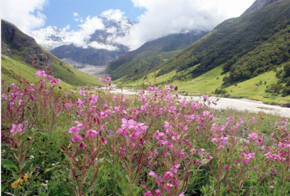 4 must visit heaven places in india for 2019
