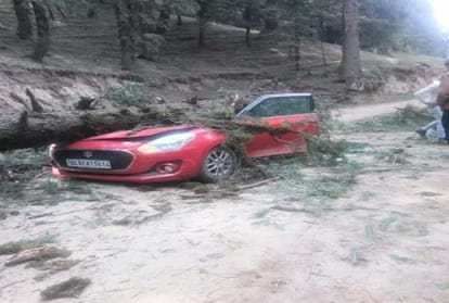 big loss to fruit crop and property due to thunderstorm in himachal