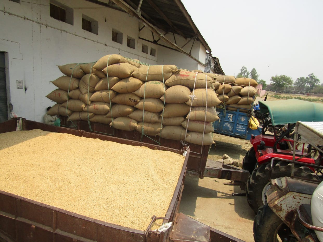 Backward Gorakhpur from Maharajganj in wheat procurement