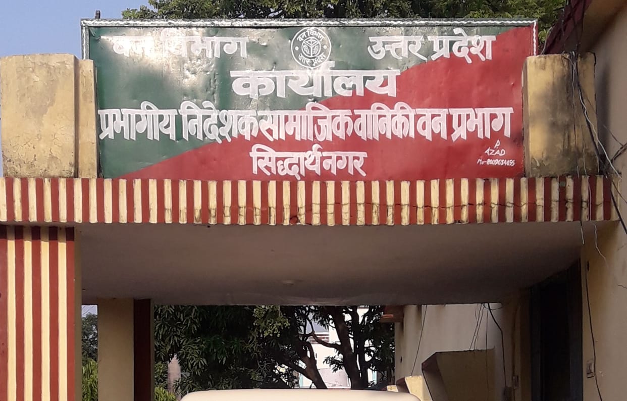  1235 akar forest land disapeared
