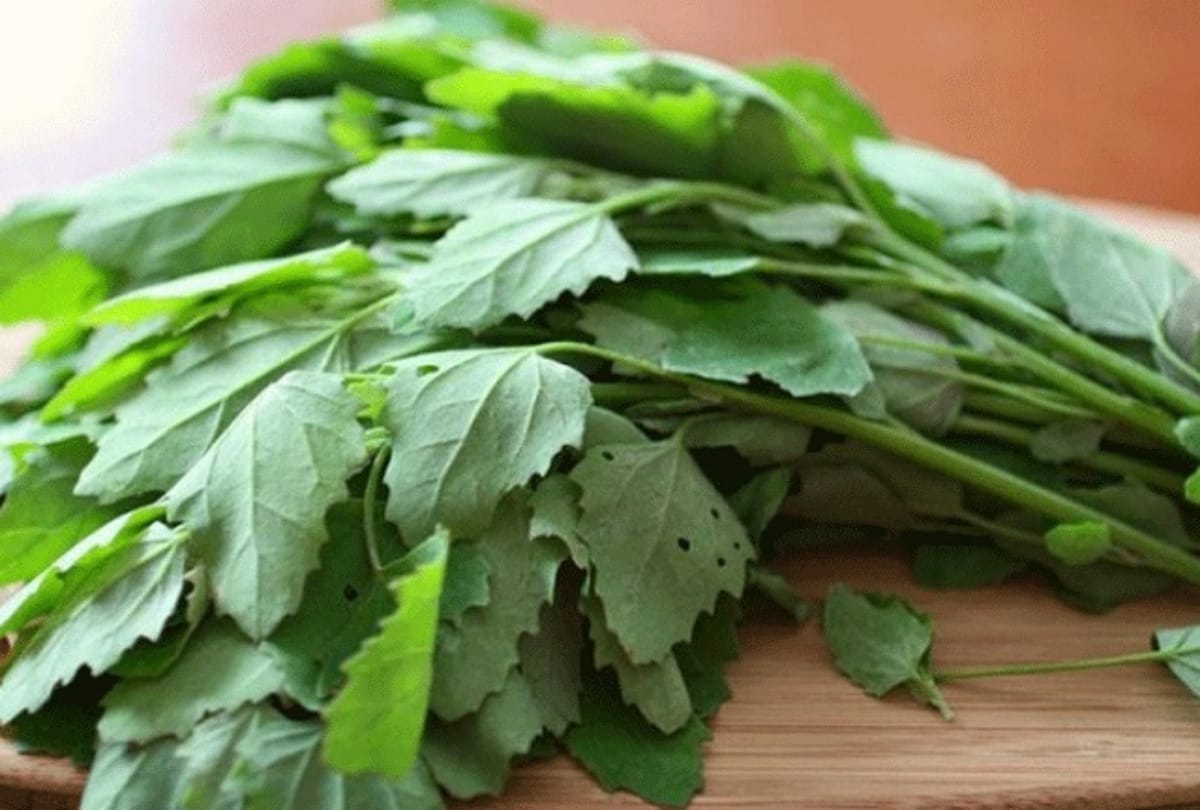 know about the health benefits of bathua