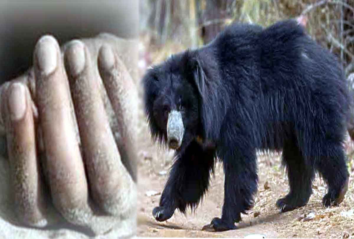man died in fighting with wild animal