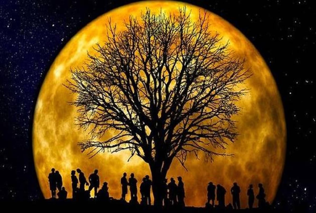 world environment day: Need to save life rather than the environment of the earth