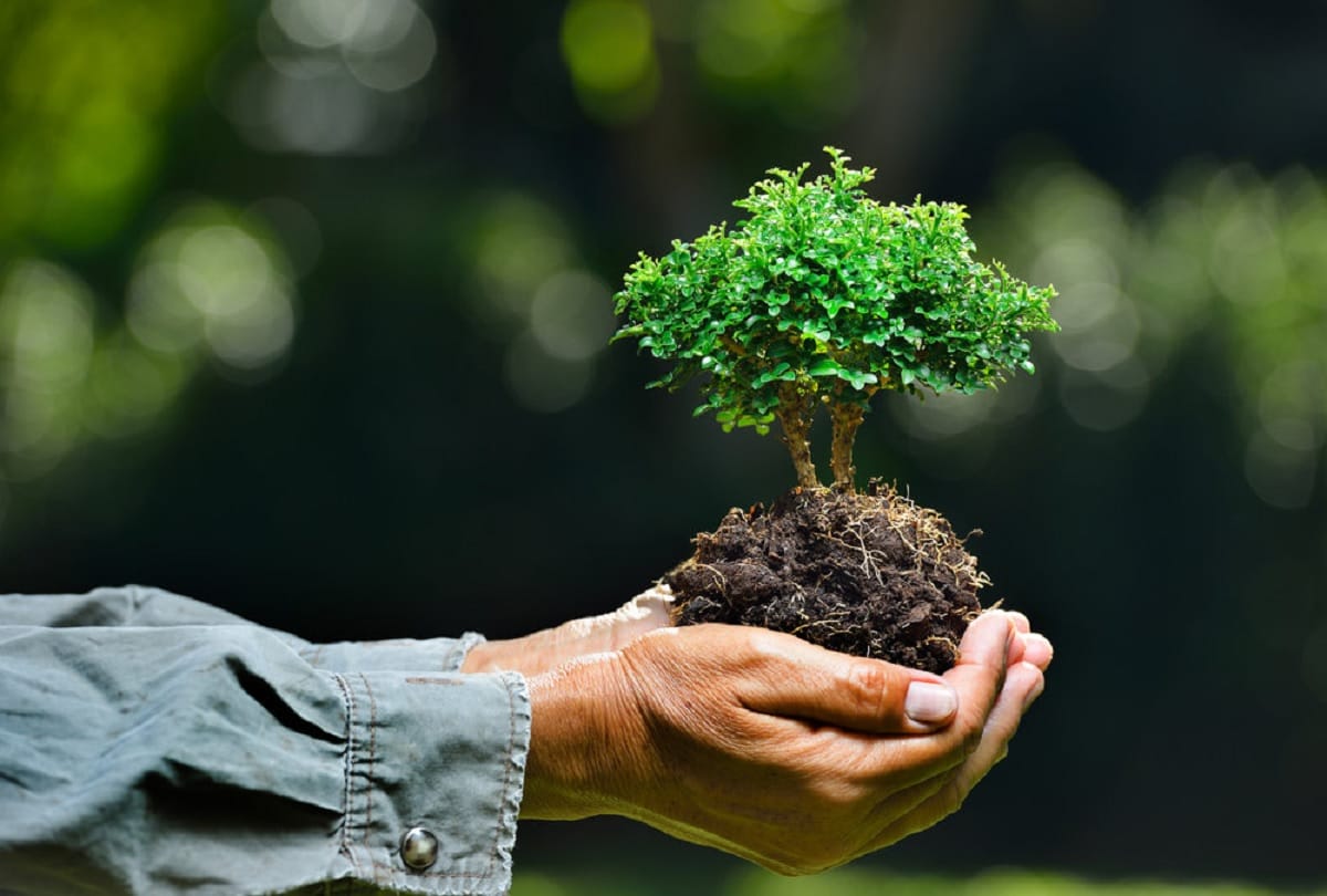 World environment day 2019 theme history significance