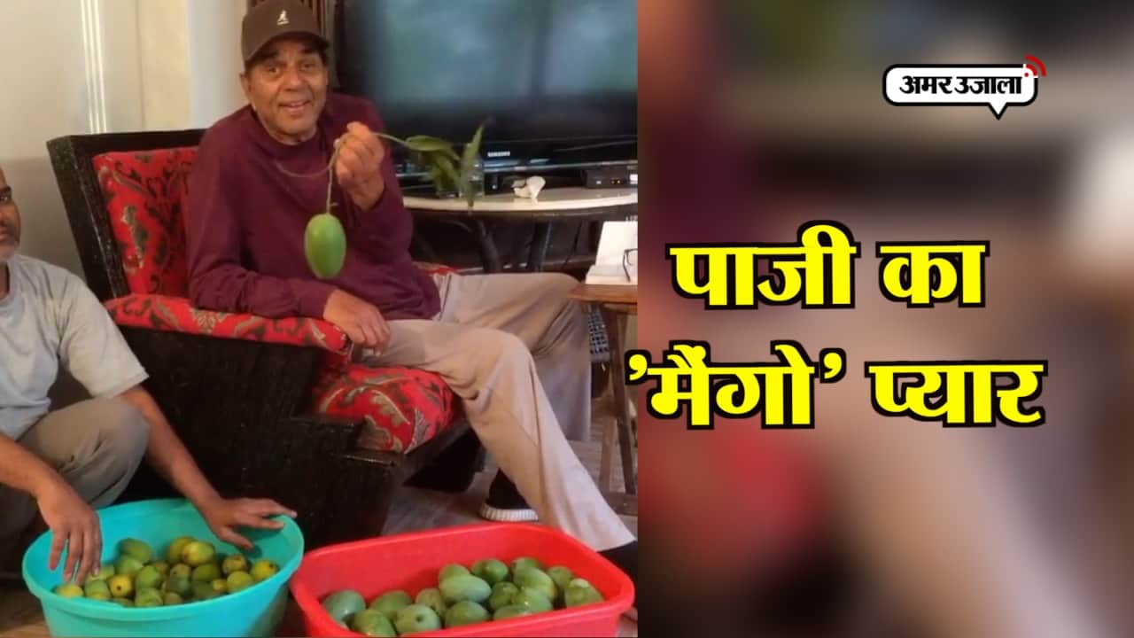 आम से प्यार