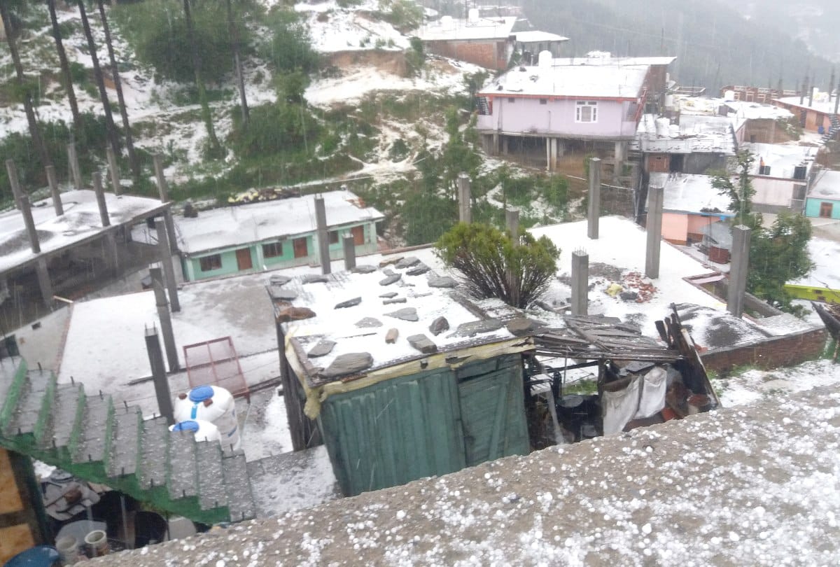 rain douse fire of forests in himachal pradesh
