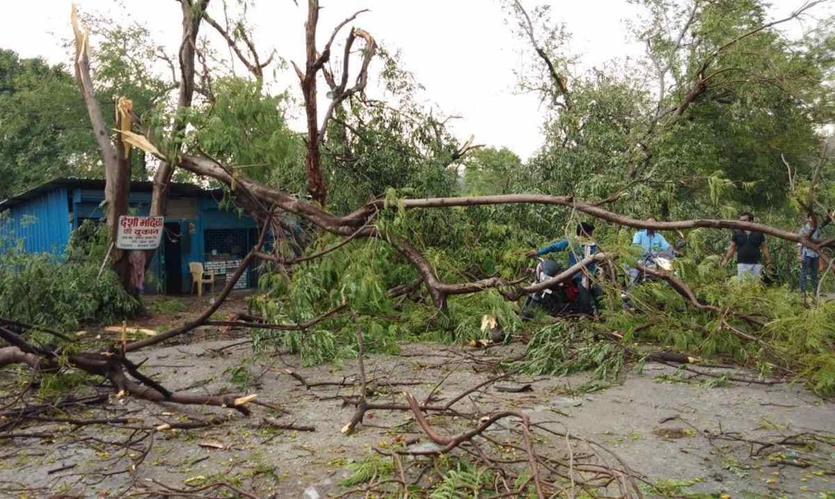 Big damage due to storm in sonbhadra and three people died