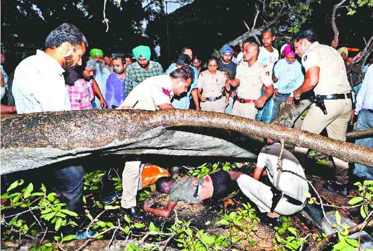 storm in chandigarh, one man died