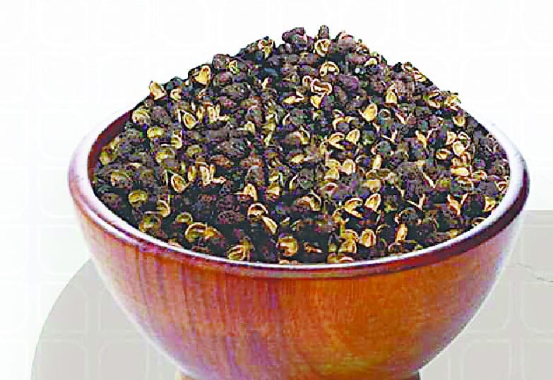 Economy of farmers joining Timur-Rajma