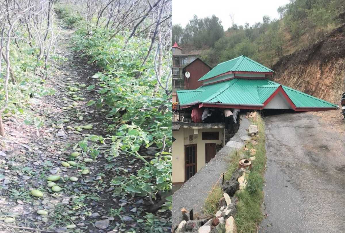 big loss to fruit crop and property due to thunderstorm in himachal