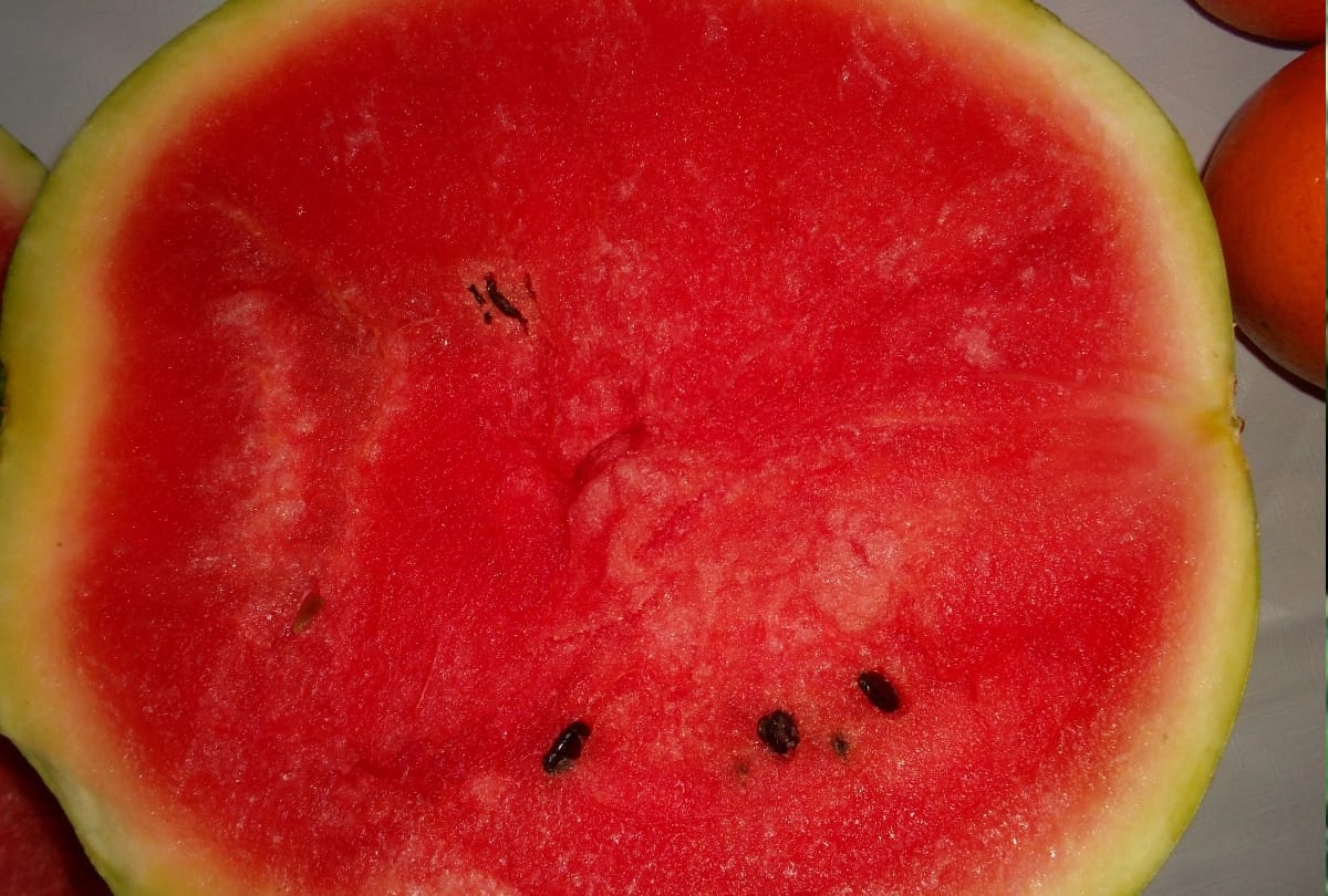 chemical mix watermelon came to market in noida