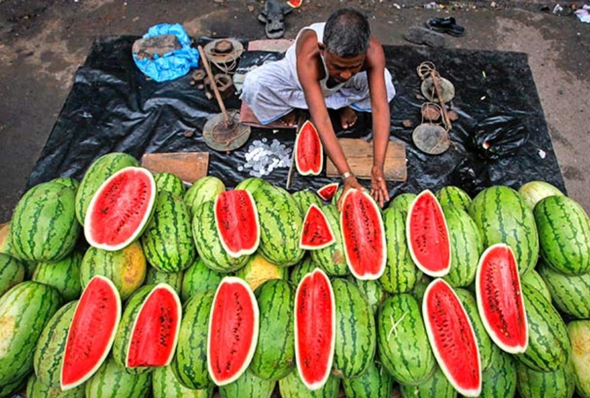 Tips To Buy Sweet Watermelon Mithe Tarbuj ki Pahchan Kaise karen