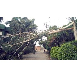 life disturb due to high wind and rain