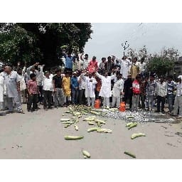 farmers shed milk on roads