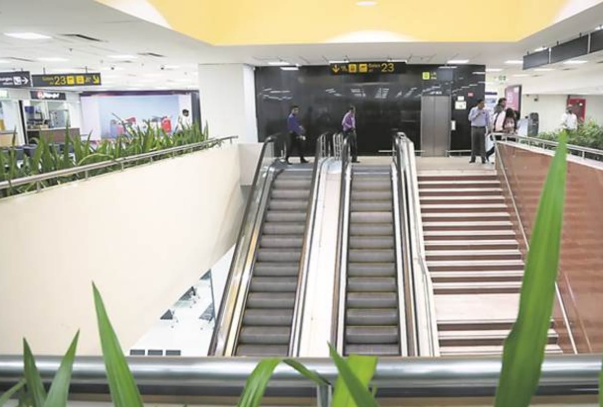 delhi airport used special tree for pollution   