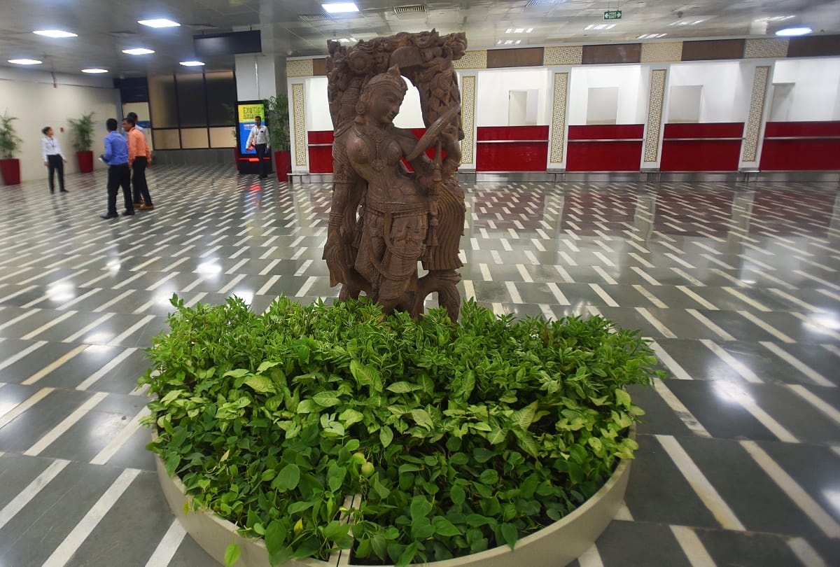 delhi airport used special tree for pollution   