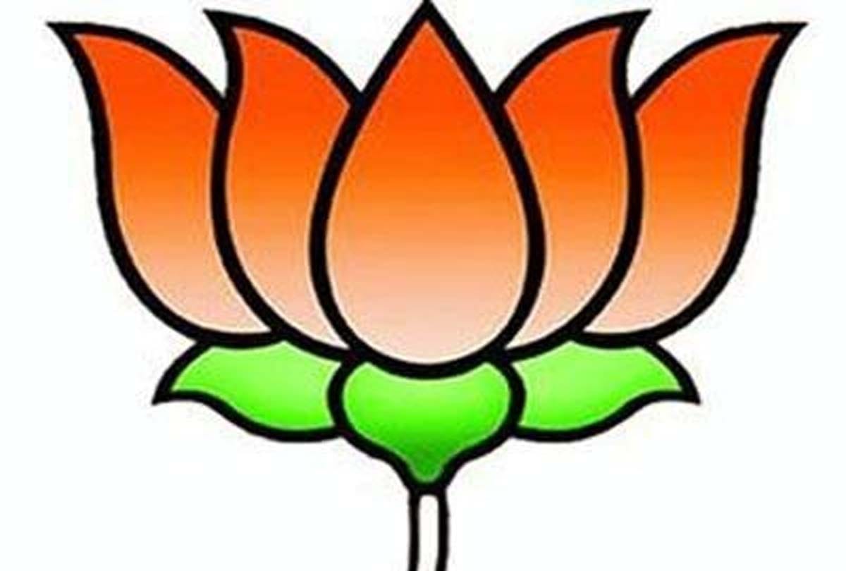 BJP will work on these issues in mission 2019