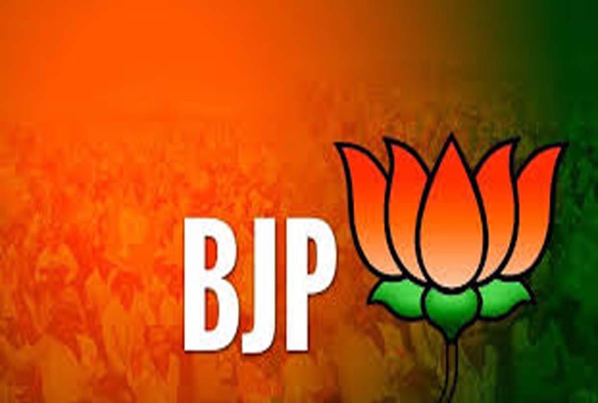 BJP will work on these issues in mission 2019