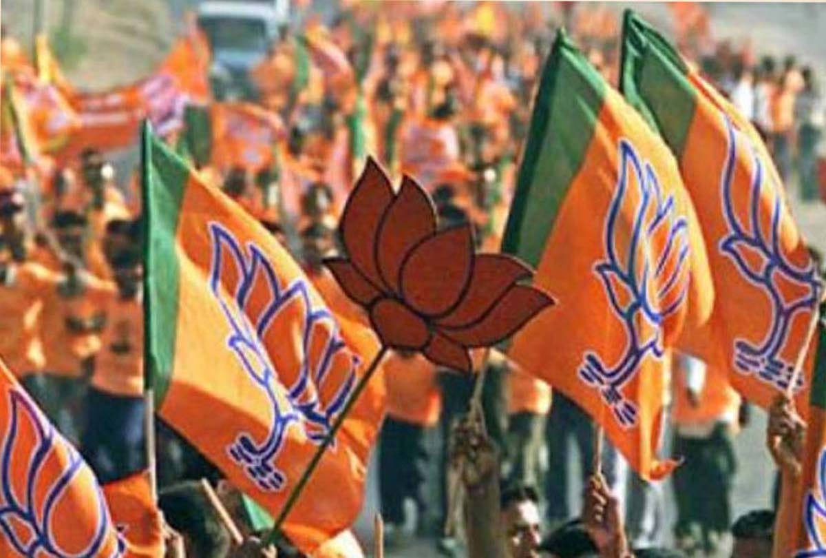 BJP will work on these issues in mission 2019