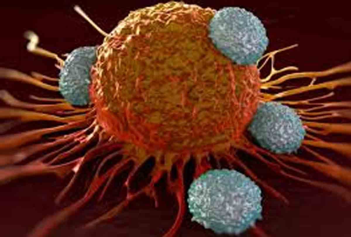National cancer grid will be developed at IIT Kanpur