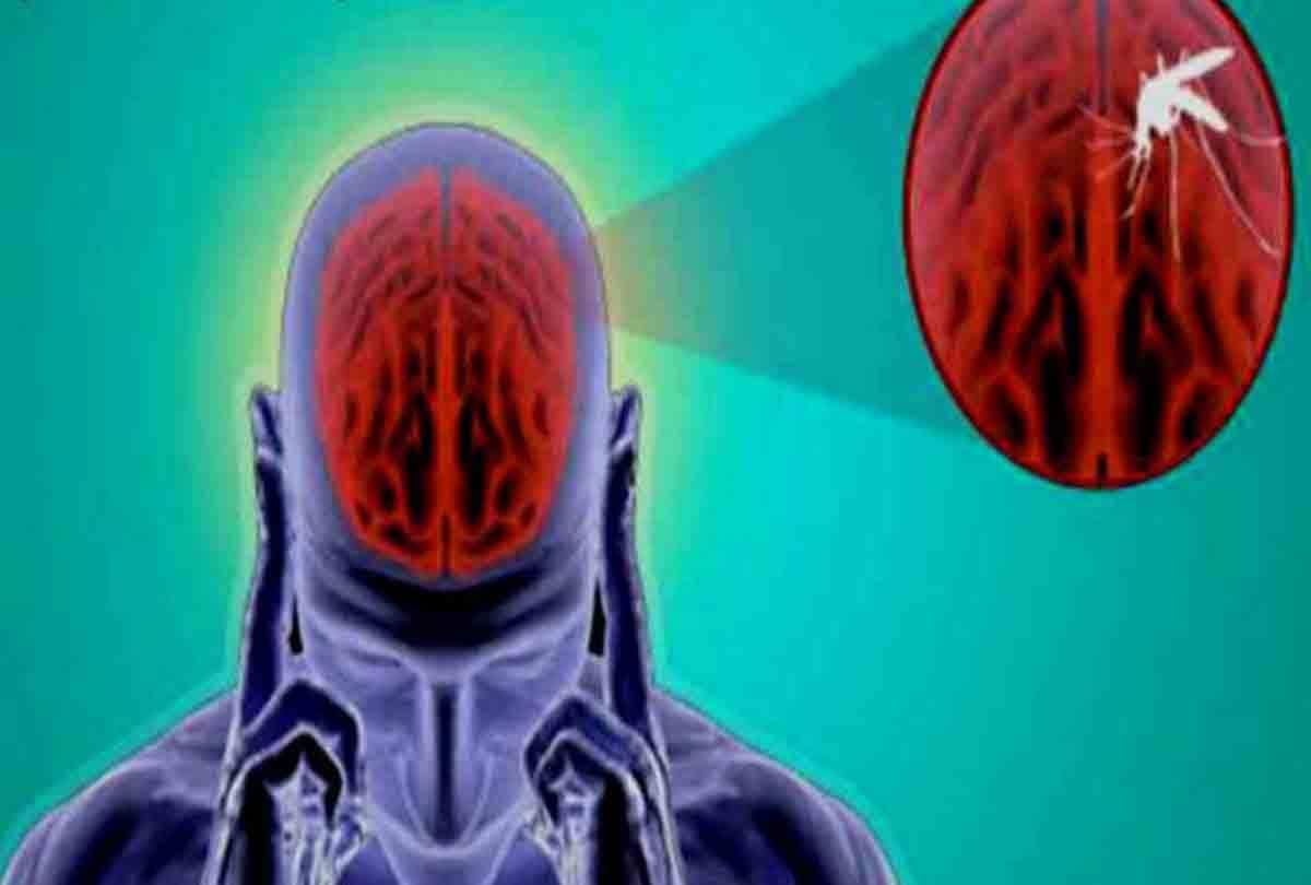 Be careful, Japanese encephalitis reached unnao