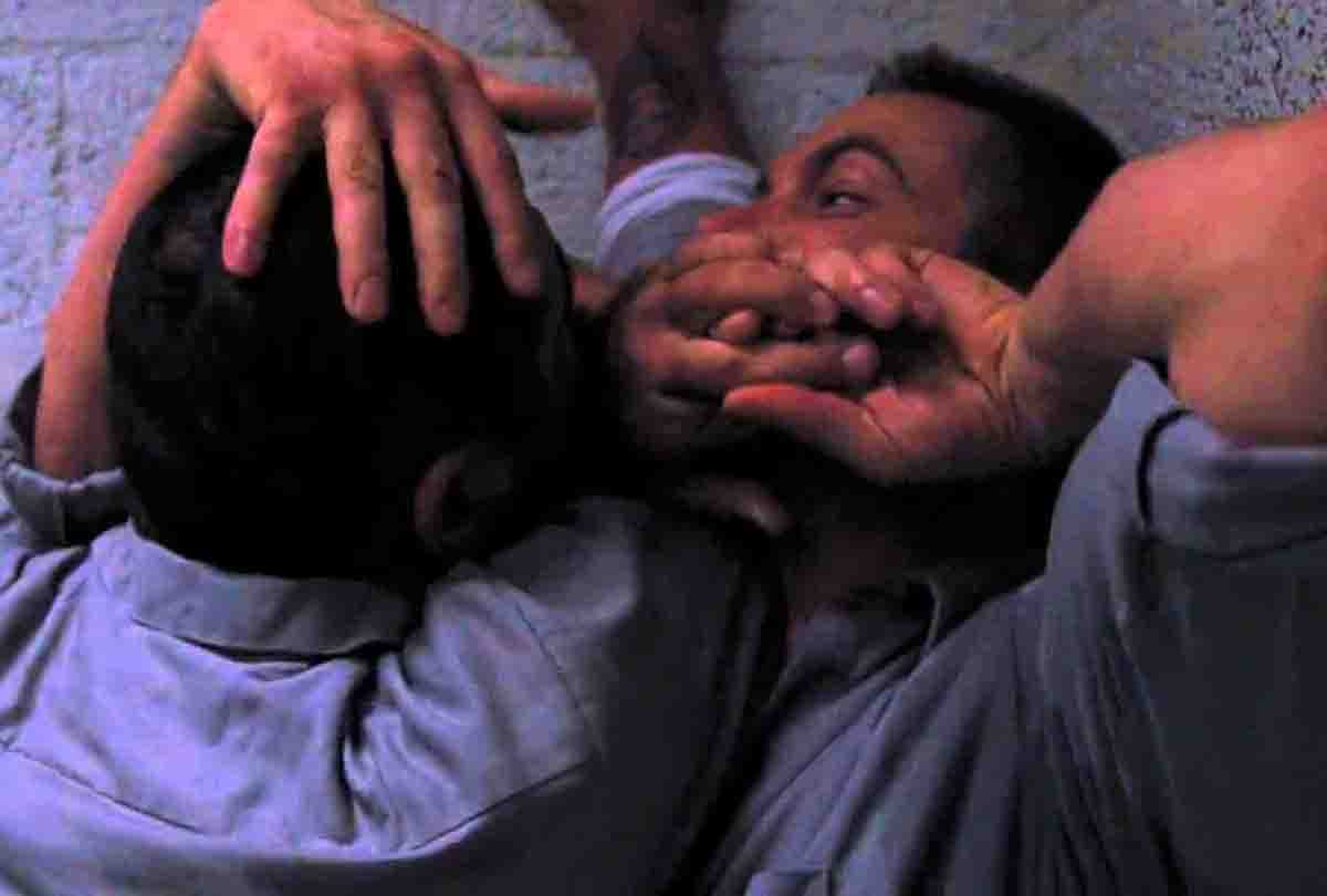 two groups mix in fight in punjab university senate meeting