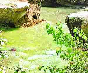 Cut in canal, farmers upset.