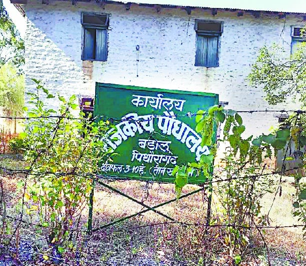 Mahooka Ghalu Farm from Arunima's Fragrance
