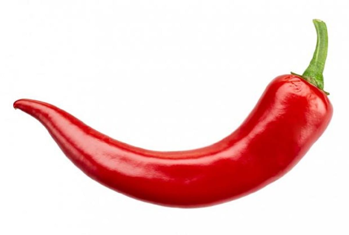 Spices increase our immunity booster for viral infection Can it alternatives to medicines