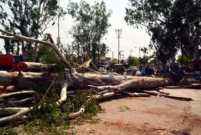 dust storm and heavy rain in Uttar Pradesh, 38 people killed