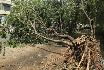 dust storm and heavy rain in Uttar Pradesh, 38 people killed
