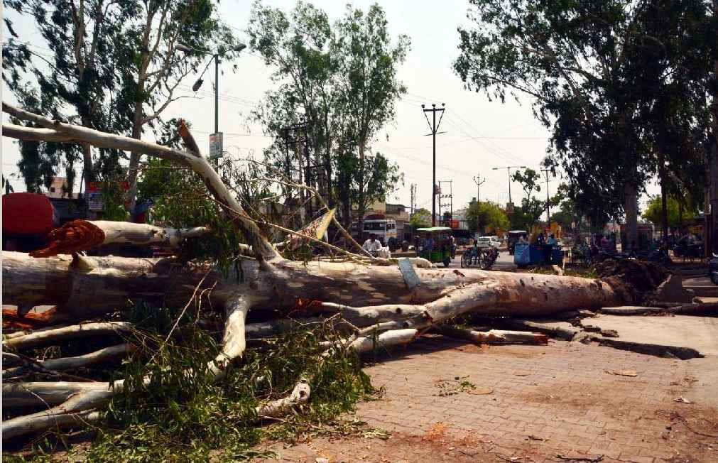 Storm and rain devastated