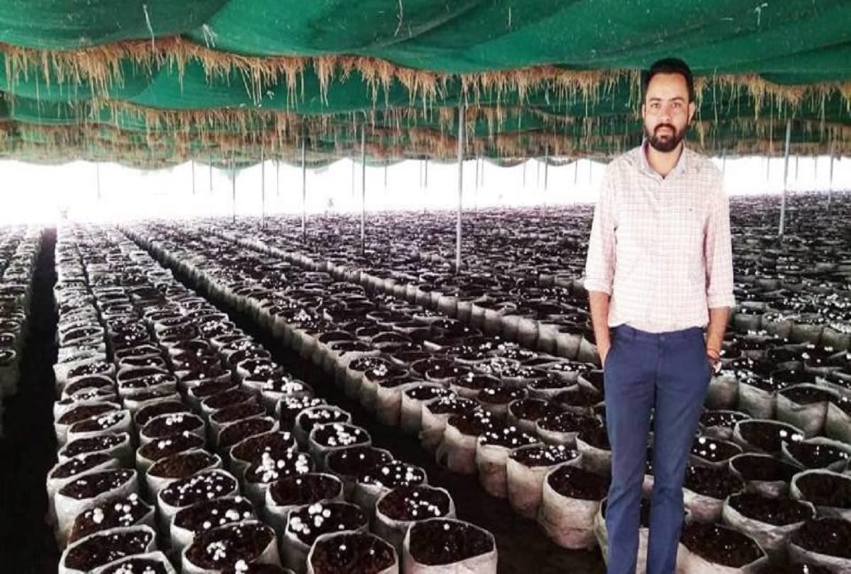 Amarinder Singh of Patiala is cultivating vegetables After left government job 