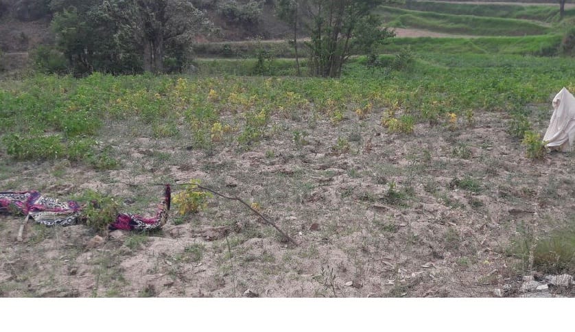 Demand for compensation given by peasants