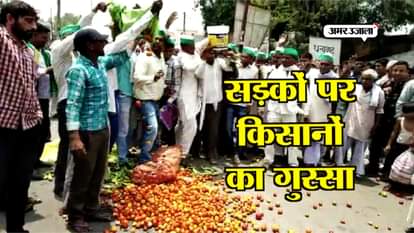 FARMERS PROTEST AGAINST GOVERMENT IN SAMBHAL
