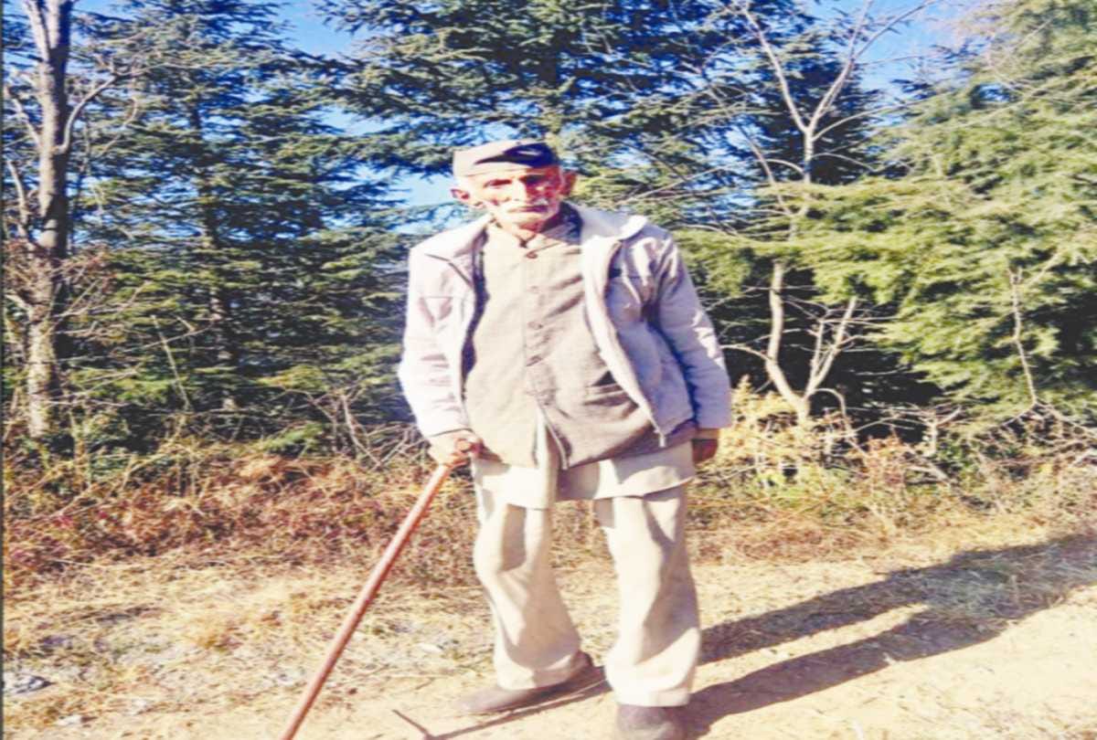 Environment Day Special: Meen Singh planted one lakh saplings of various species including pine