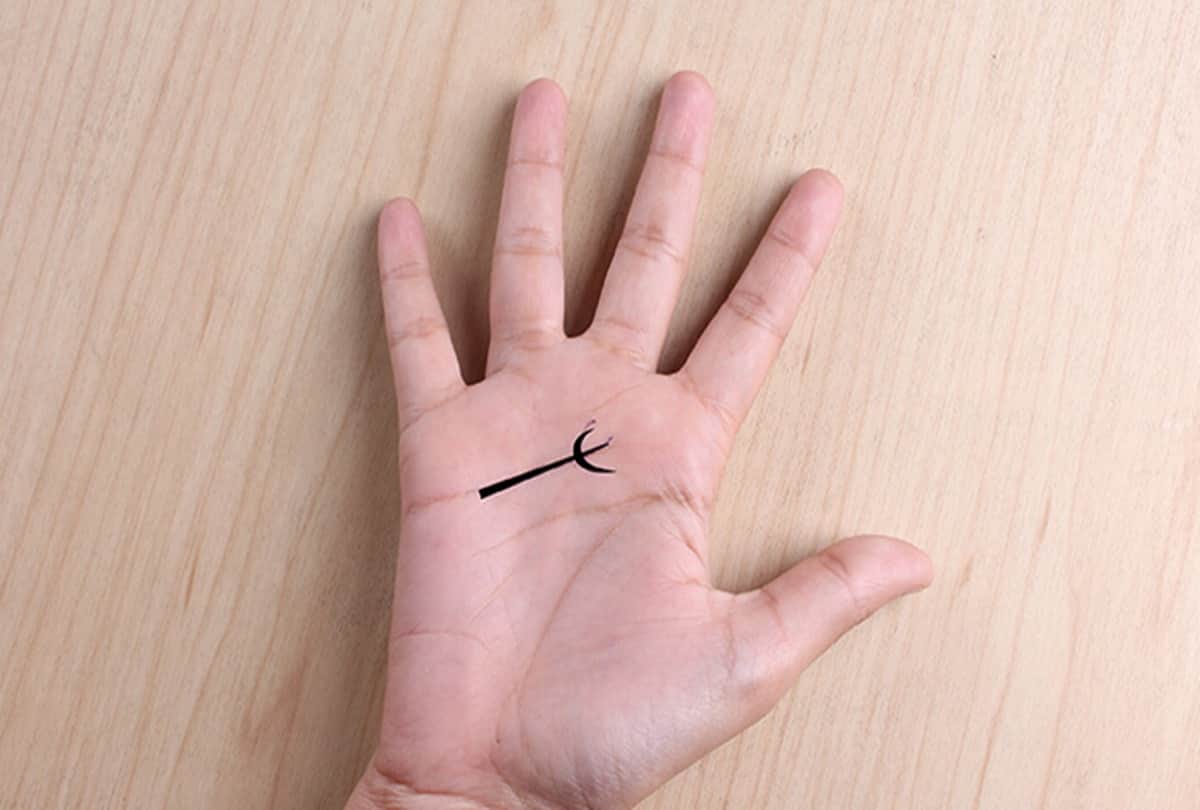 These sign is made in your palm Goddess Lakshmi is always with you